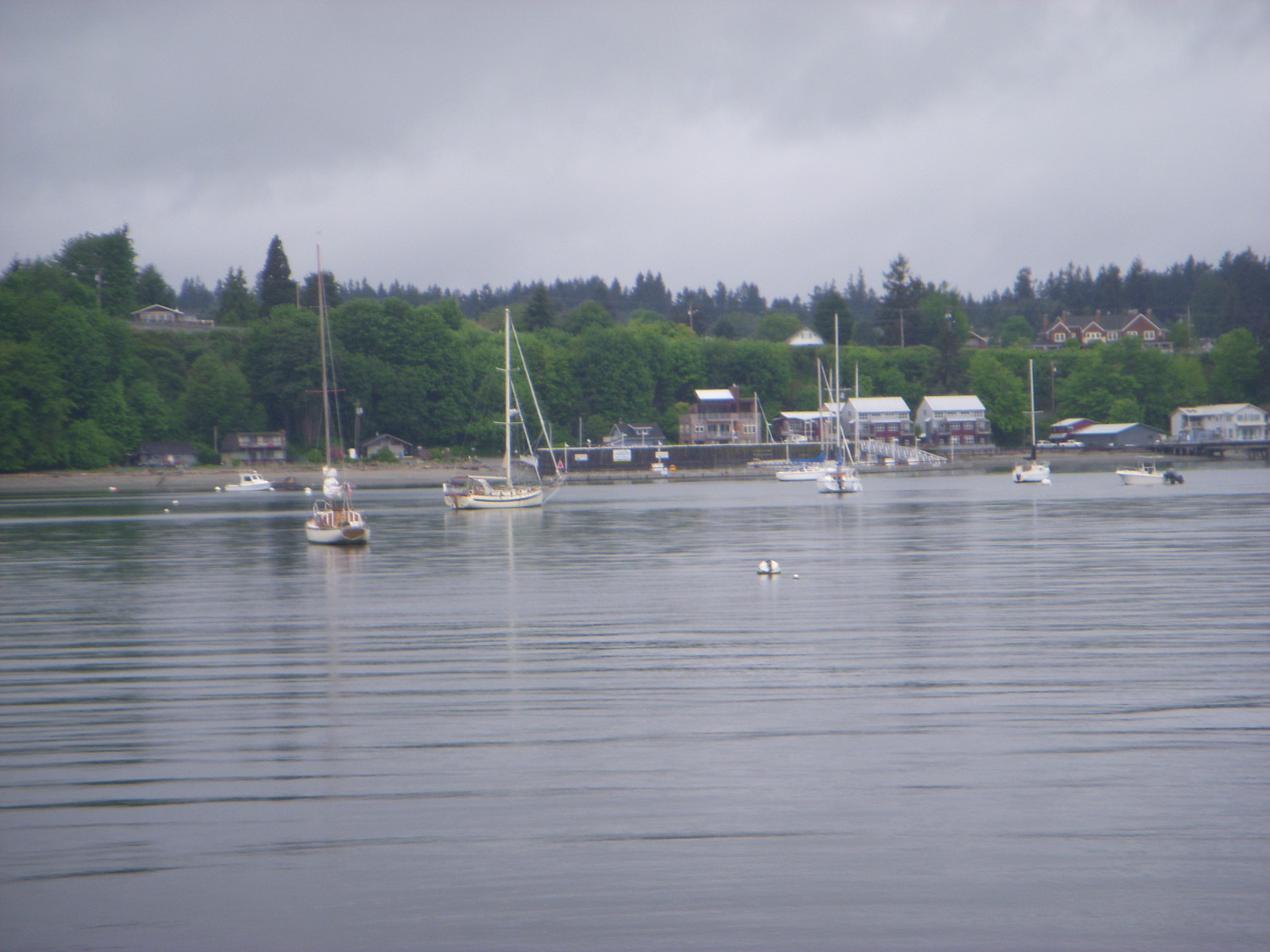 Langley Marina and Anchorage