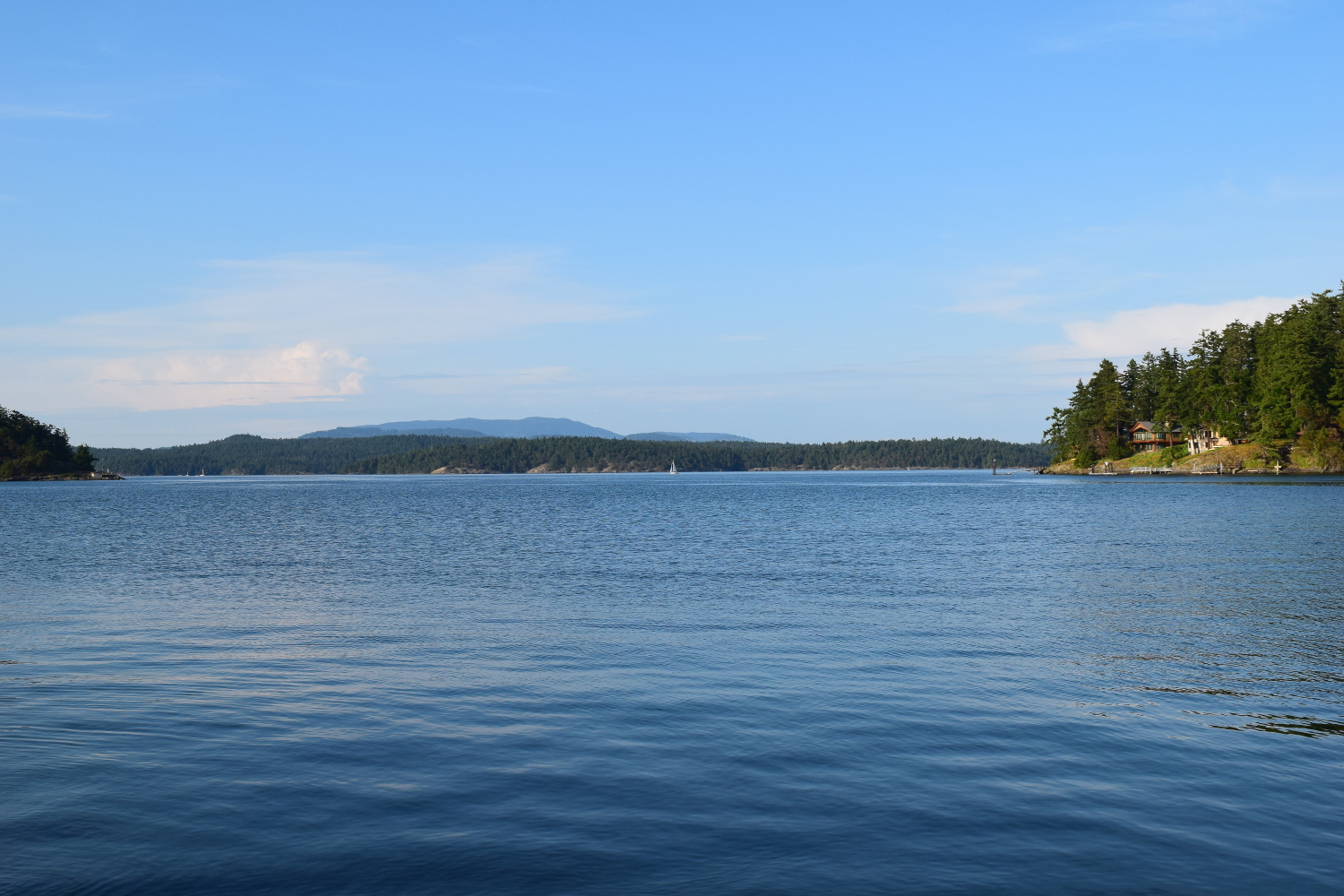 Friday Harbor